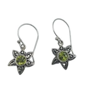 anting bintang laut