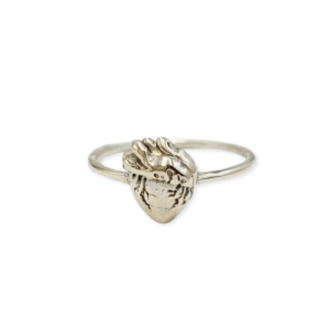 cincin perak anatomi